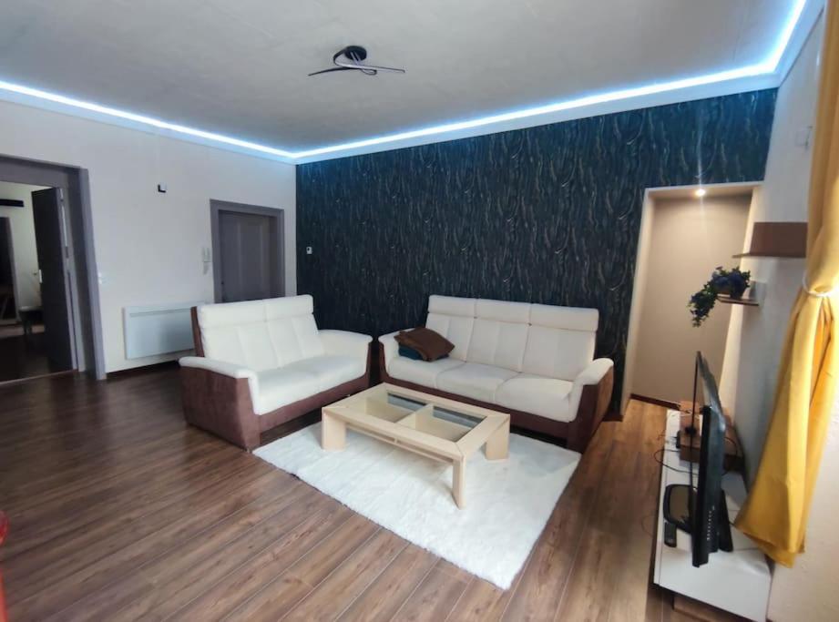 Appartement Coeur De Ville. Dole Buitenkant foto